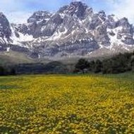 coeur vrai en résistance CCoeur Vrai en Resitance