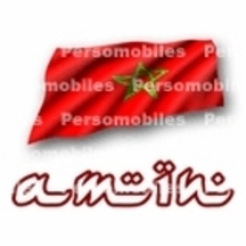 hamid