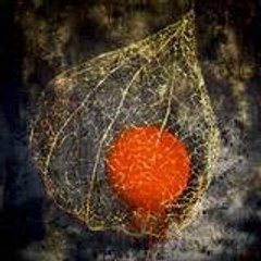 Mireille Payen Artiste