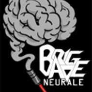 Brigade Neurale