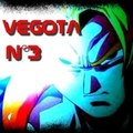 Vegota n°3