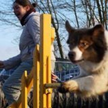 Bénédicte Bénédicte VIEILLE