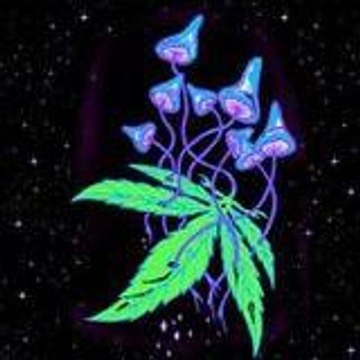 flo