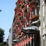 Unange myriamlabiche