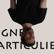 Signe_Particulier
