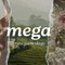 Mega MSTV Guide Vlogs