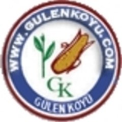 GulenKoyu.com