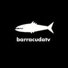 Barracuda Film& TV