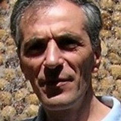 badri iosebashvili
