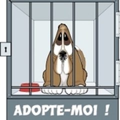 oubliés de saint Béart
