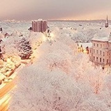 I'M NOBODY               ✝