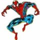 Spider-Fan