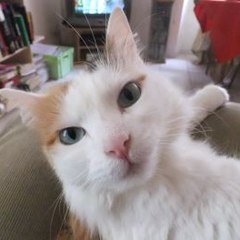 Catherine jeanmercier41