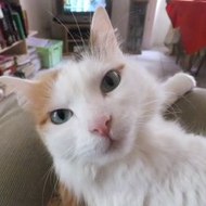 Catherine jeanmercier41