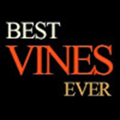Best Vines Ever