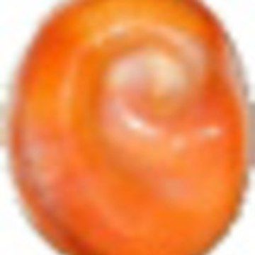 Χλωμός - Κέρκυρα