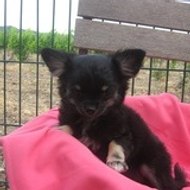 Evelyne Mourier Evelyne