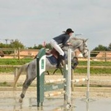 x-salome-x