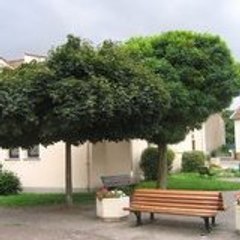 Ecole Primaire de Jury