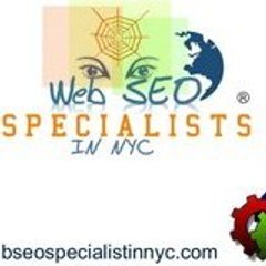 SEO TEAM