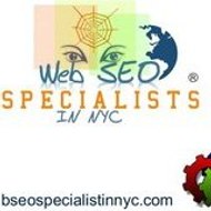 SEO TEAM