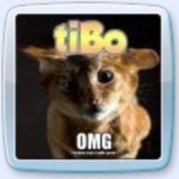 tibo