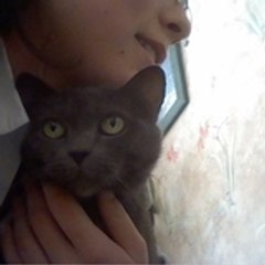 Morute