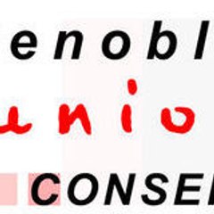 Grenoble Junior Conseil