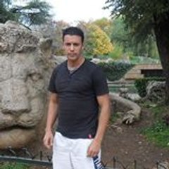 lion hicham