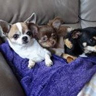 marié (kessler jean-luc)