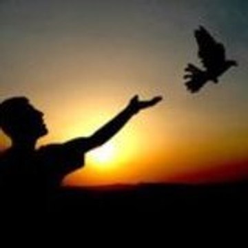 suphi suphi ahmetcik