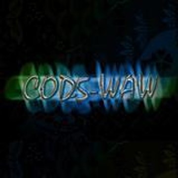 COD5-WAW