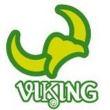 association Le Viking