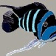 Michel Michel Branchaud