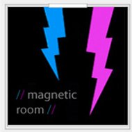 magnetic room
