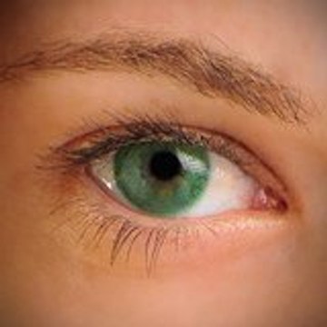 IBNU 'YYADH, FuDHayl