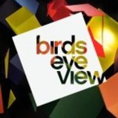 Birds Eye View