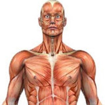 Michael Behnken, MS, CSCS