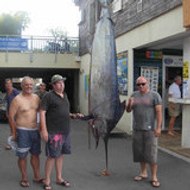 francis galliere francis