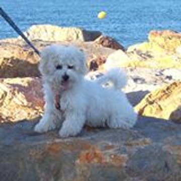 Martine Clavé Munch