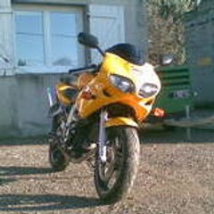 romain