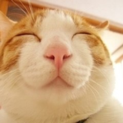 yuki-k