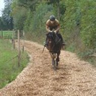 francois marcais denis