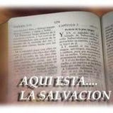 LuisMeL1962