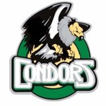 Team Condors