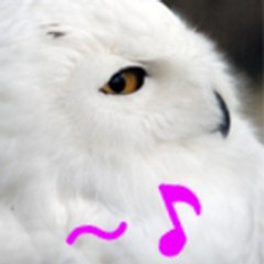 ふちP