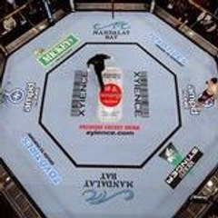 UltimateFightClub