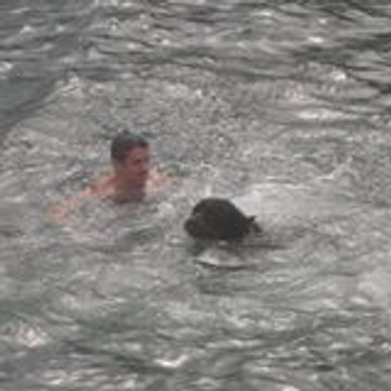 chris