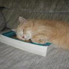 Vincent-Paul Foidart