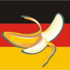 wahrheitsaktivist
